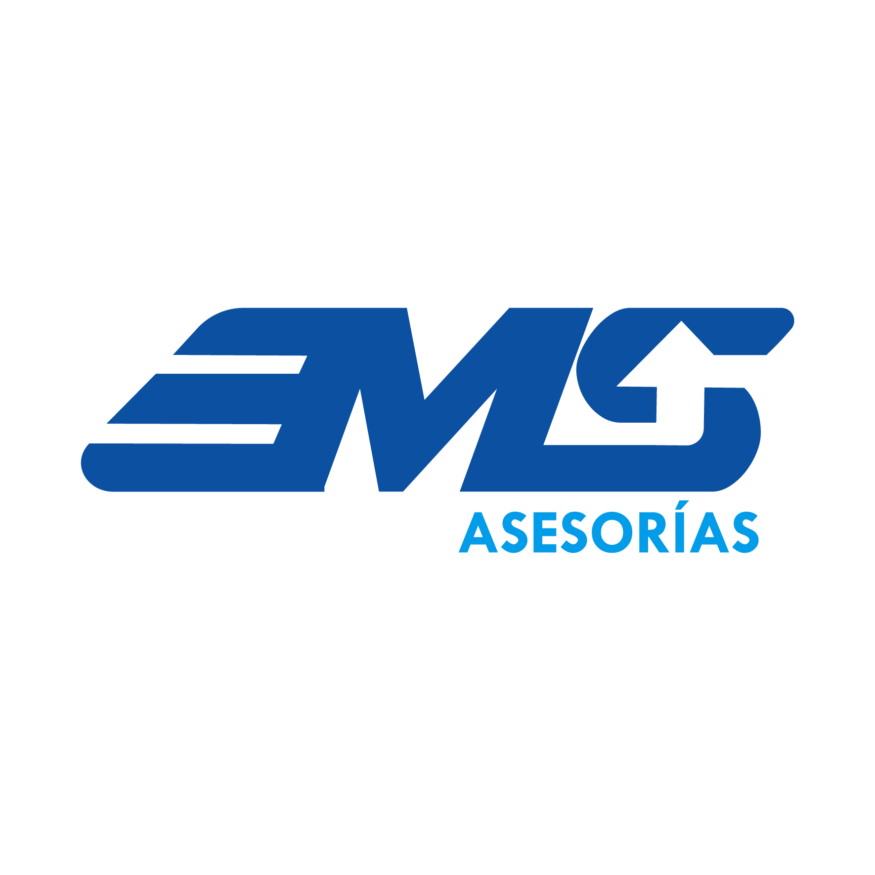 Asesorías EMS